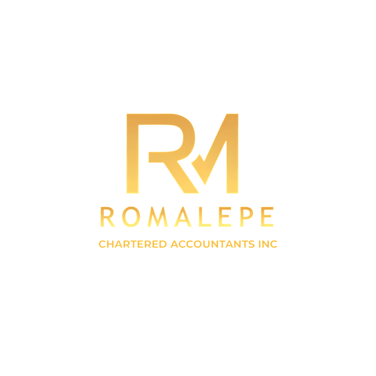 Romalepe Accountants and Auditors South Africa